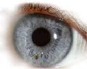 Privacy icon -- an open, human eye